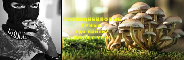 ПСИЛОЦИБИНОВЫЕ ГРИБЫ Алзамай