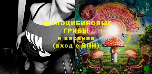 ПСИЛОЦИБИНОВЫЕ ГРИБЫ Алзамай
