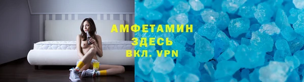 гидра Алексин