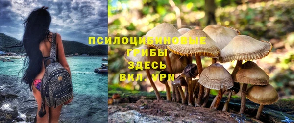 герыч Алексеевка