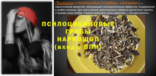 ПСИЛОЦИБИНОВЫЕ ГРИБЫ Алзамай
