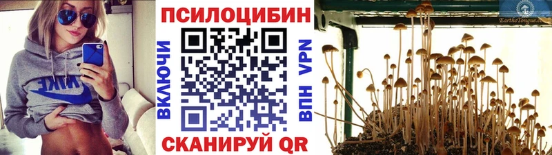 Галлюциногенные грибы Magic Shrooms  KRAKEN зеркало  Тамбов 
